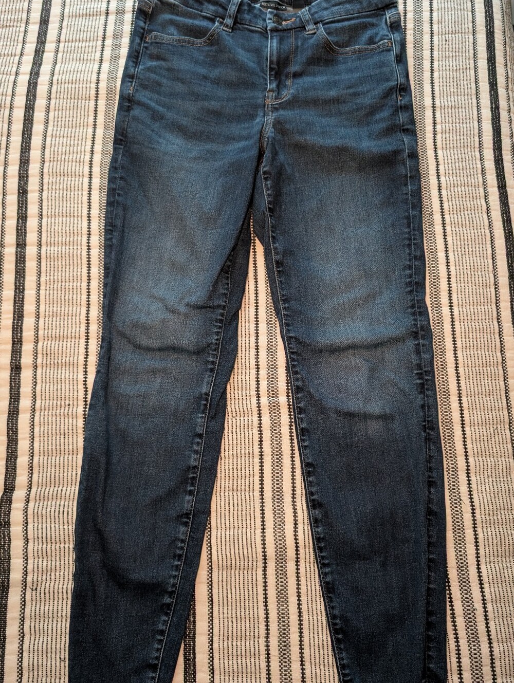 American Eagle Outfitters Dark Wash Skinny Jeans